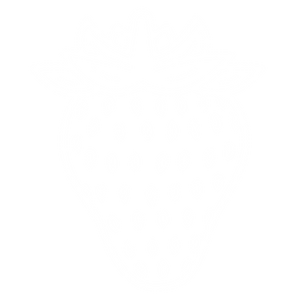 illustration of a strawberry with clear background